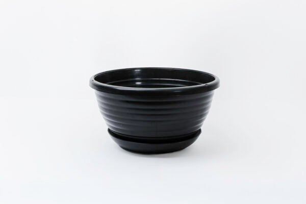 MATERA COLGAR  RECUPERADO